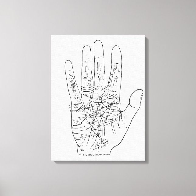 Lienzo La mano del modelo (Anverso)