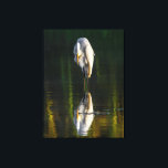 Lienzo La pacífica Gran Egresión Blanca con Reflexión<br><div class="desc">Una hermosa fotografía del gran egret blanco con su reflejo. La imagen fue tomada por Ian Wickison y todos los derechos están reservados. Ardea Alba es su nombre latino y es un ave que está muy extendida. Esta imagen fue tomada en Brasil. El pájaro es relajado y parece estar admirando...</div>