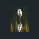 Lienzo La pacífica Gran Egresión Blanca con Reflexión<br><div class="desc">Una hermosa fotografía del gran egret blanco con su reflejo. La imagen fue tomada por Ian Wickison y todos los derechos están reservados. Ardea Alba es su nombre latino y es un ave que está muy extendida. Esta imagen fue tomada en Brasil. El pájaro es relajado y parece estar admirando...</div>