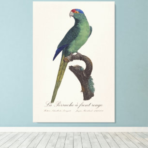 Lienzo La Perruche es una onda frontal