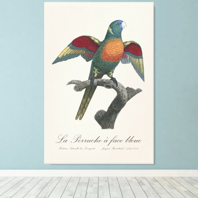 Lienzo La Perruche un deslumbramiento facial (Insitu (piso de madera))