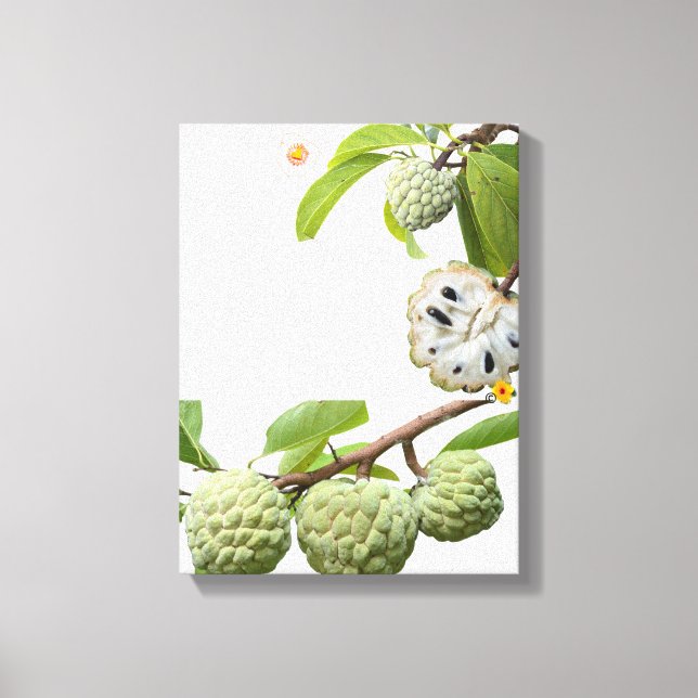 Lienzo La pomme-cannelle -  (Anverso)