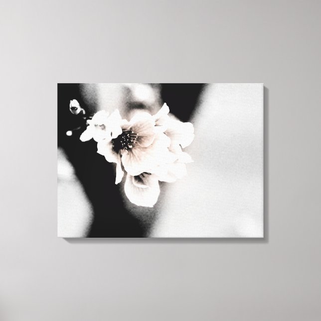 Lienzo La primavera pasada | Fotografía floral (Anverso)