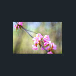 Lienzo La Simple Belleza De Las Flores De Sakura En La Pr<br><div class="desc">La simple belleza de las flores rosadas de sakura - flores japonesas de cerezo. Una ramita arbórea floreciente sobre el fondo liso del follaje verde del jardín. Una pintura digital extra grande de una fotografía. Impresión de lienzos floridos y estirados para decorar tu lugar o para ser usados como regalo...</div>