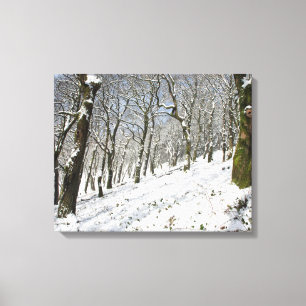Lienzo La tarjeta de invierno del bosque de Macclesfield