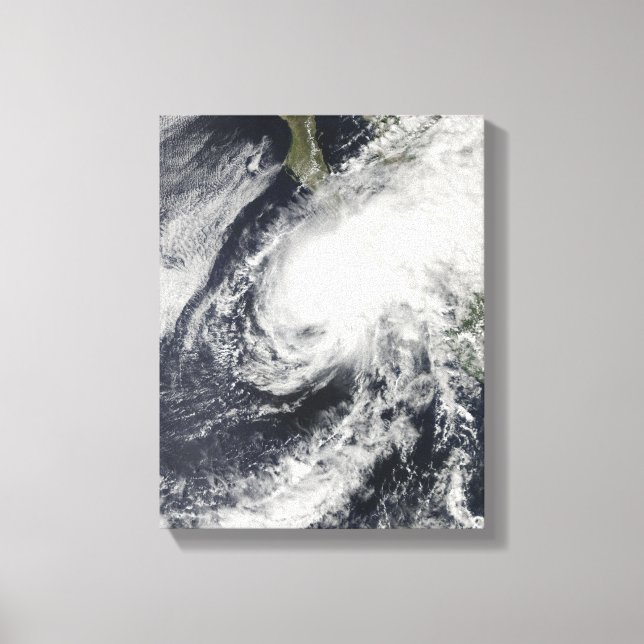 Lienzo La tormenta tropical Rick se acerca a México (Anverso)
