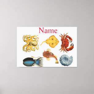 Lienzo La variedad de Bebidas marinas únicas Thunder_Cove