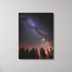 Lienzo La Vía Láctea Rosa Valley, California