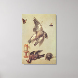 Lienzo La vida de los pájaros muertos y un ratón, 1712