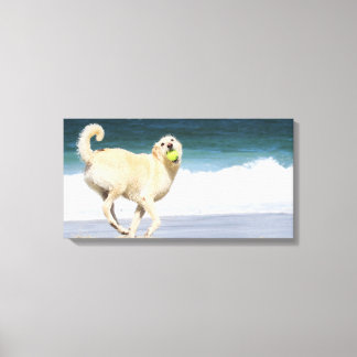 Lienzo Labradoodle - Feliz Día en la Playa