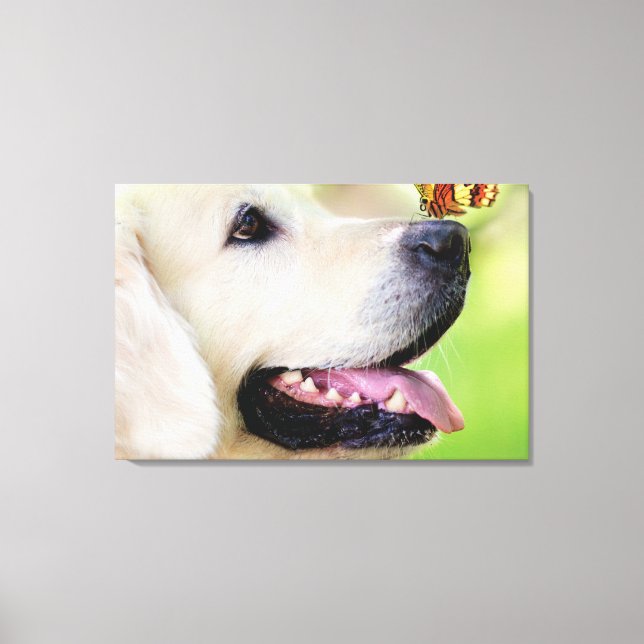Lienzo Labrador And Butterfly Throw Pillow (Anverso)