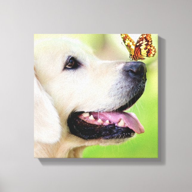 Lienzo Labrador And Butterfly Throw Pillow (Anverso)