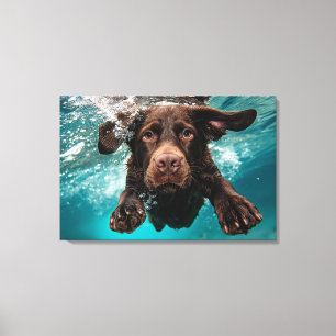 Lienzo Labrador Chocolate Juguetón Nadando Bajo el Agua