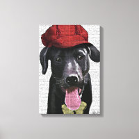Labrador negro con capucha roja