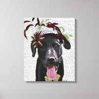 Labrador Negro Con Fascinador Verde