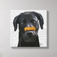 Labrador negro con huesos en la nariz