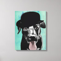 Labrador negro en Gorra Bowler