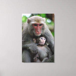 Lienzo Lactancia de mono alimentando a su bebé