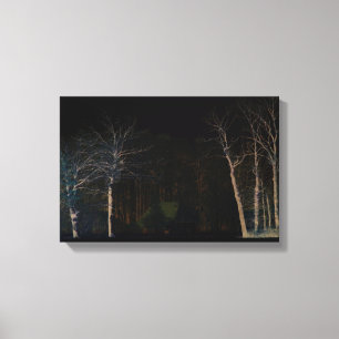 Lienzo Lado oscuro 4 16,50x11 (41,25x27,5cm)