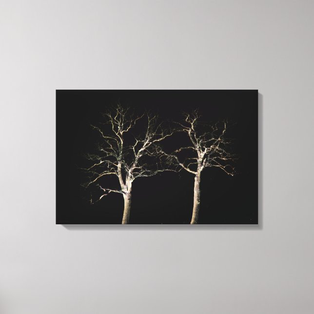 Lienzo Lado oscuro 9 24x16 (60x40cm) waccnm (Anverso)