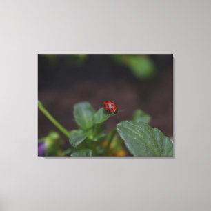 Lienzo Ladybug en Flores