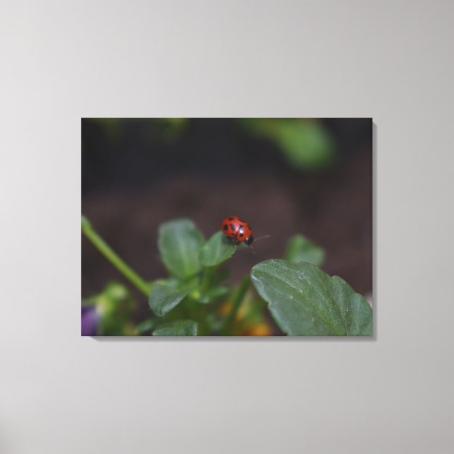 Lienzo Ladybug en Flores (Anverso)