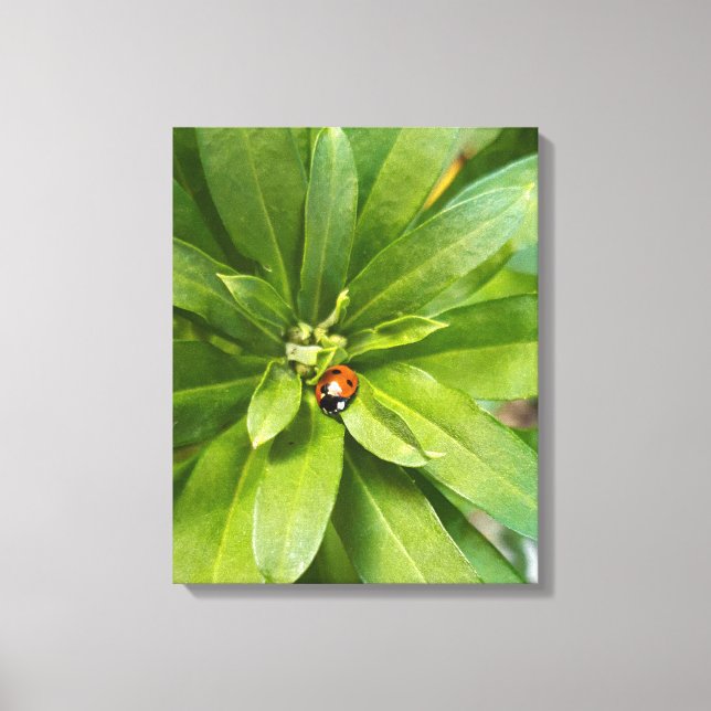 Lienzo Ladybug en Flores (Anverso)