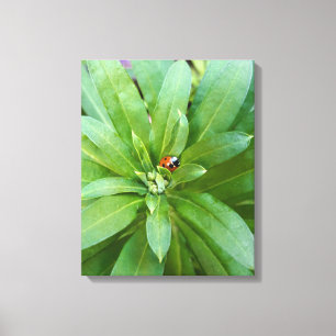 Lienzo Ladybug en Flores