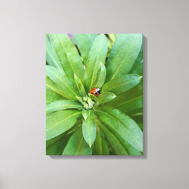 Lienzo Ladybug en Flores (Anverso)