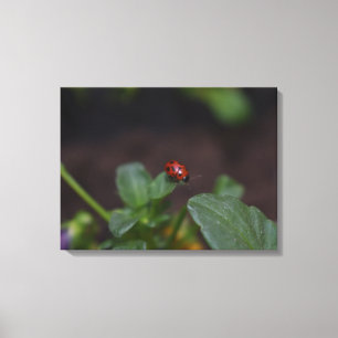 Lienzo Ladybug en Flores