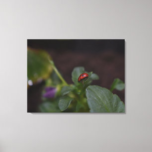 Lienzo Ladybug en Flores