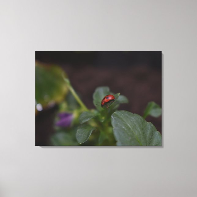 Lienzo Ladybug en Flores (Anverso)