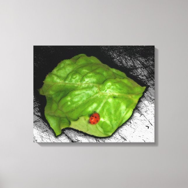 Lienzo Ladybug rojo en el Ilustracion de la hoja verde (Anverso)