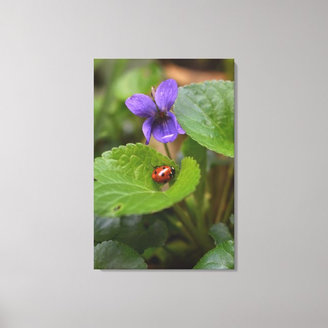 Lienzo Ladybug sobre las dulces flores violetas (Anverso)