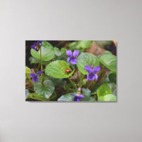 Ladybug sobre las dulces flores violetas