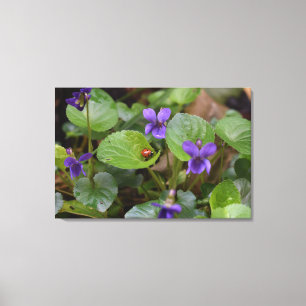 Lienzo Ladybug sobre las dulces flores violetas