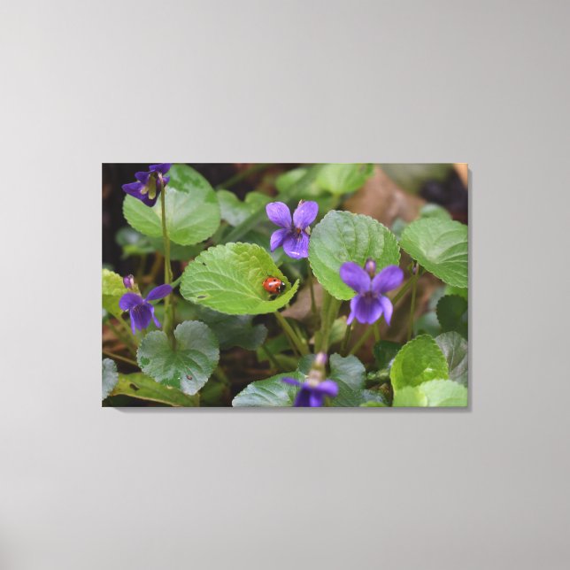 Lienzo Ladybug sobre las dulces flores violetas (Anverso)