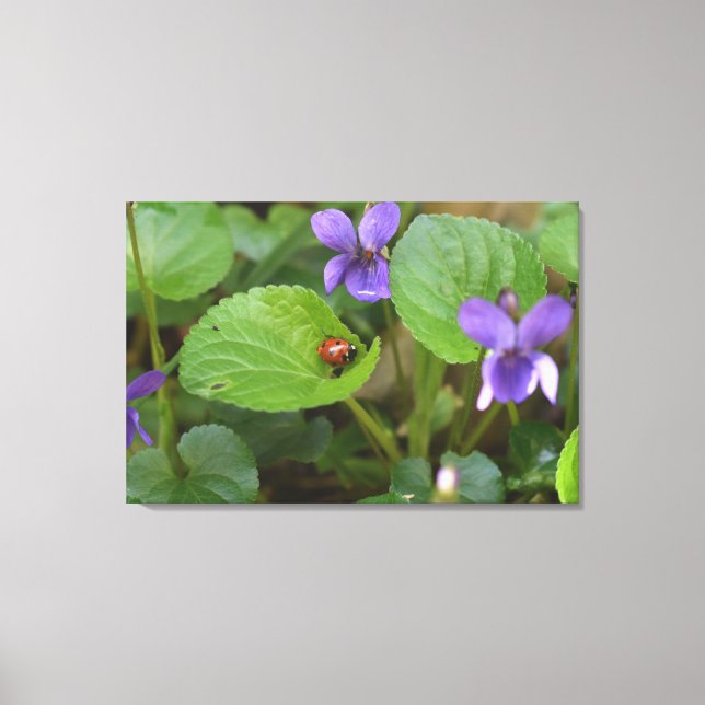 Lienzo Ladybug sobre las dulces flores violetas (Anverso)