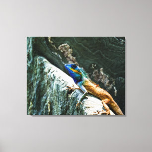 Lienzo Lagarto oriental del jardín - lona envuelta