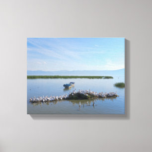 Lienzo Lago Chapala Pelicans