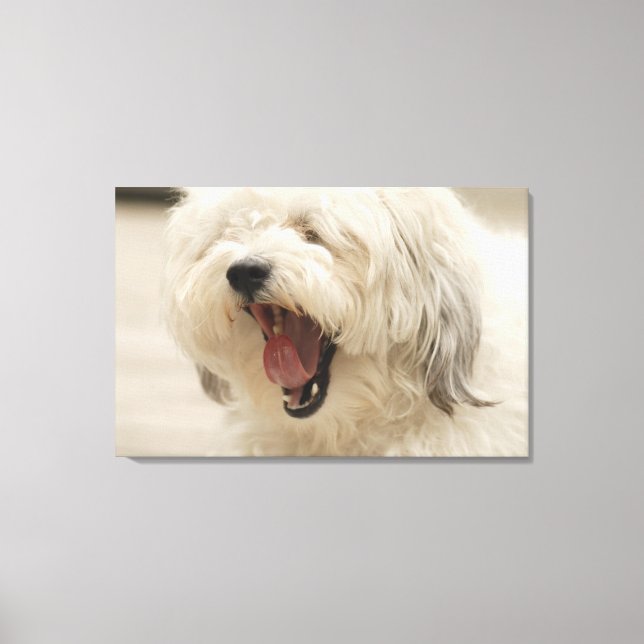 Lienzo Lago de los Bosques, Ontario, Canadá (Anverso)