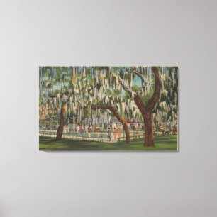 Lienzo Lago Gales, FL - Vista al aire libre de la tabla d