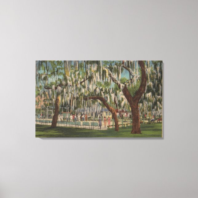 Lienzo Lago Gales, FL - Vista al aire libre de la tabla d (Anverso)