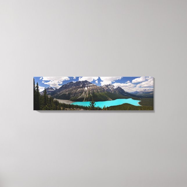 Lienzo Lago Peyto en Verano (Anverso)
