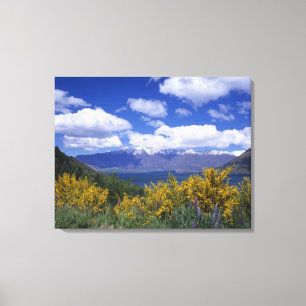 Lienzo Lago Wakatipu y The Remarkables, Queenstown,