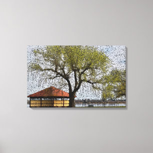 Lienzo Lago Wendouree Pavilion Ballarat