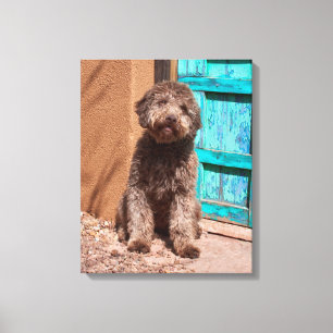 Lienzo Lagotto Romagnolo Esperando Junto a una Puerta Azu
