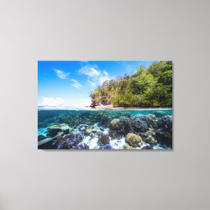 Lienzo Laja Ampat 2 subacuáticos