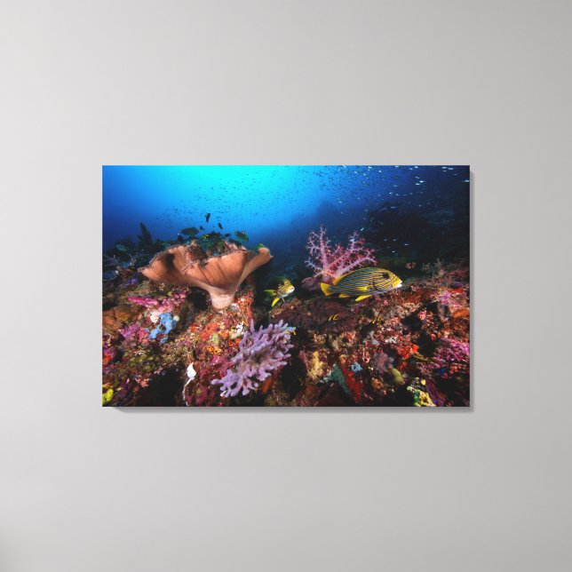 Lienzo Laja Ampat Underwater (Anverso)