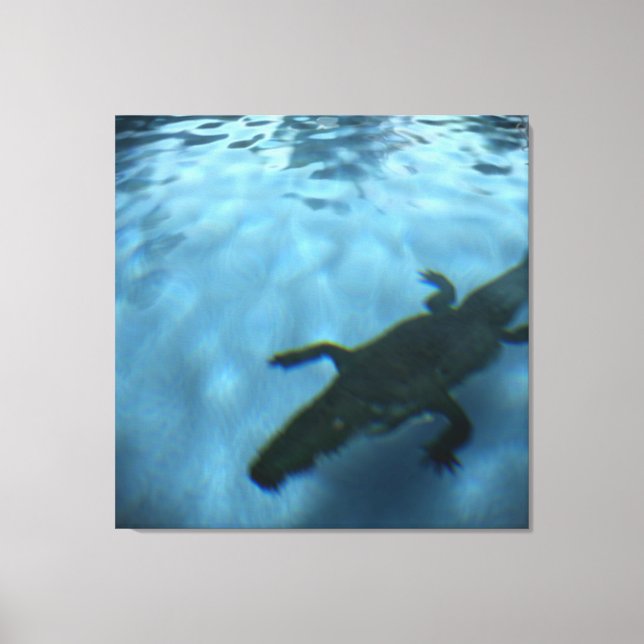 Lienzo Lámina PISCINA DE DAVID SERIES p05b (Anverso)